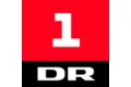 DR1 Logo